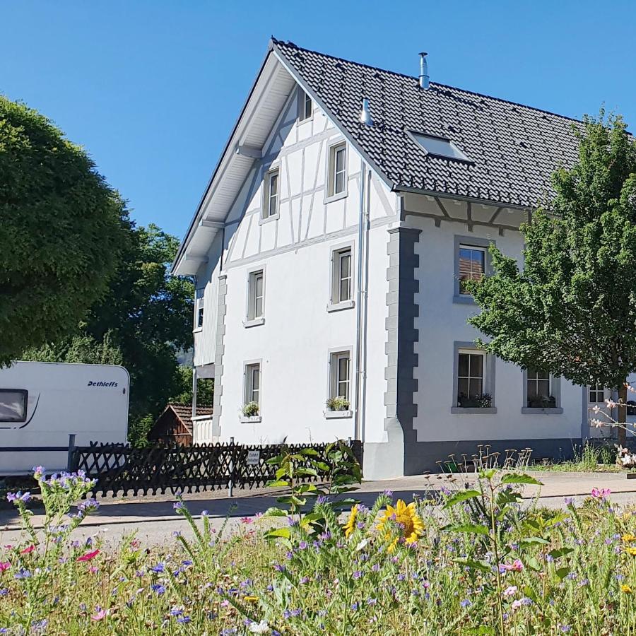 Apartment Suedwind - Beautiful Premium Apartment With 2 Bedrooms Near Rhine Falls & Zurich Airport In Klettgau Weisweil  المظهر الخارجي الصورة